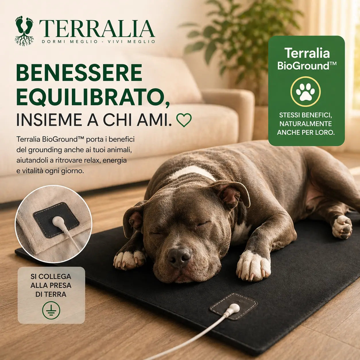 TERRALIA BIOGROUND™